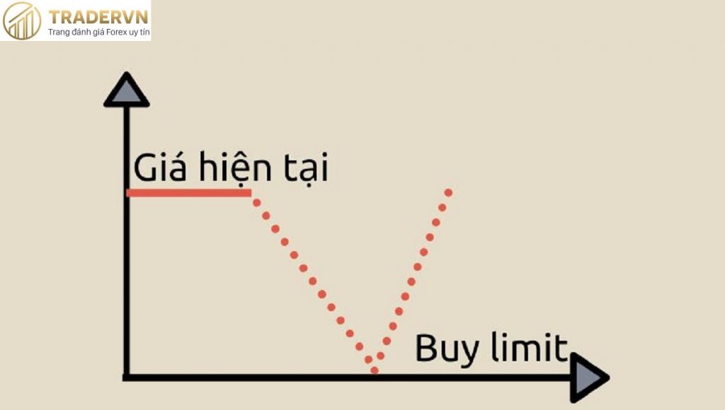 buy limit la gi