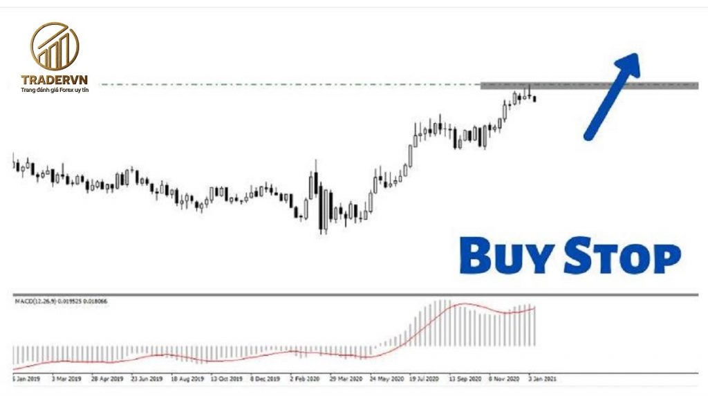 Buy stop là gì? Cách sử dụng lệnh Buy Stop hiệu quả nhất