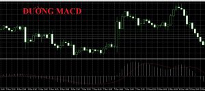 Đường MACD là gì? Cách giao dịch với chỉ báo MACD hiệu quả