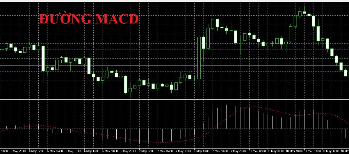 Đường MACD là gì? Cách giao dịch với chỉ báo MACD hiệu quả