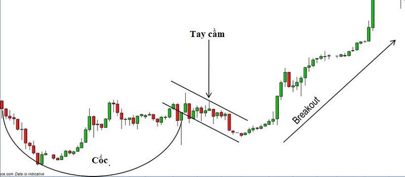 cac thanh phan cua mo hinh coc va tay cam