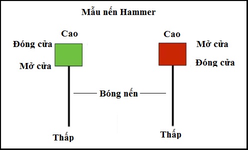 dac diem mo hinh nen bua