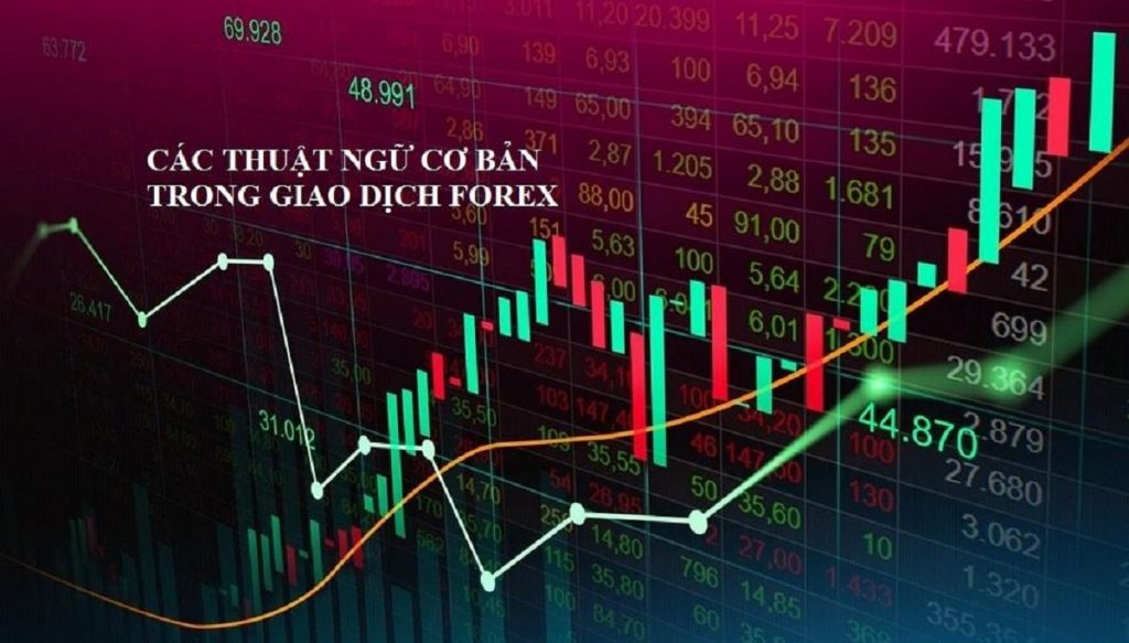 cac thuat ngu forex