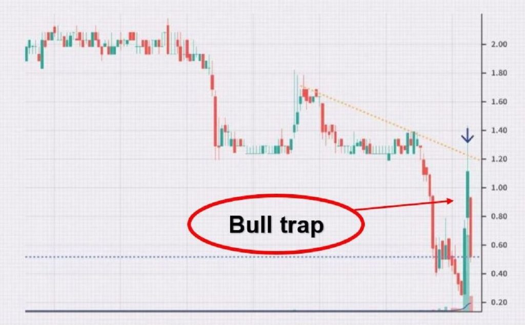 bull trap la gi