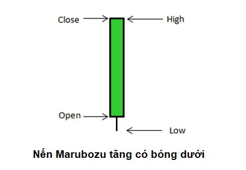 nen Marubozu tang co bong duoi