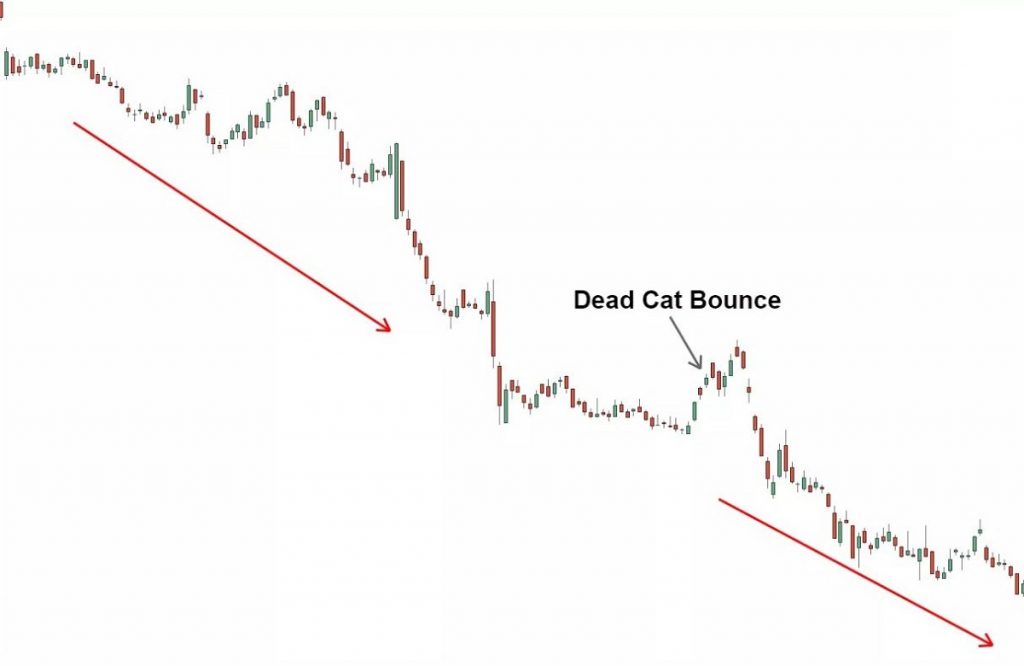 Dead Cat Bounce là gì? Cách giao dịch với mô hình cú nảy mèo chết